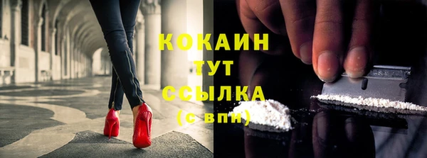 мдпв Дмитров