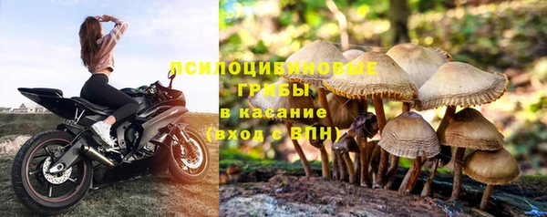 наркотики Дмитриев
