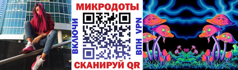 закладки  Яхрома  Галлюциногенные грибы Magic Shrooms 